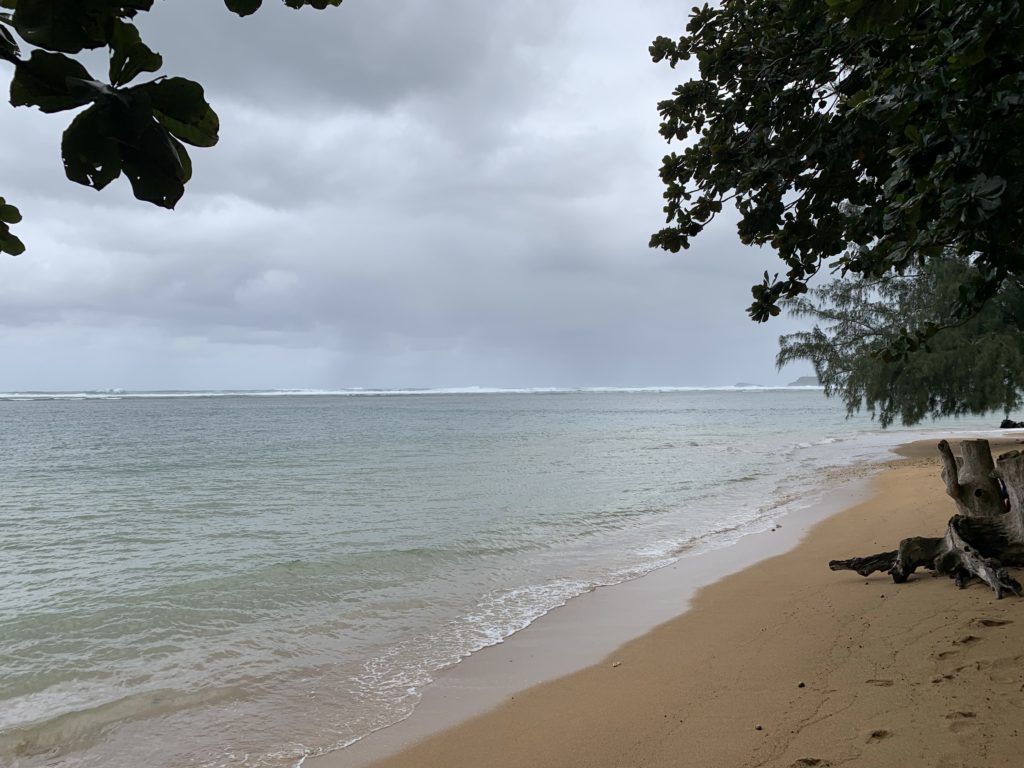 Anini_Beach_Park_East_View
