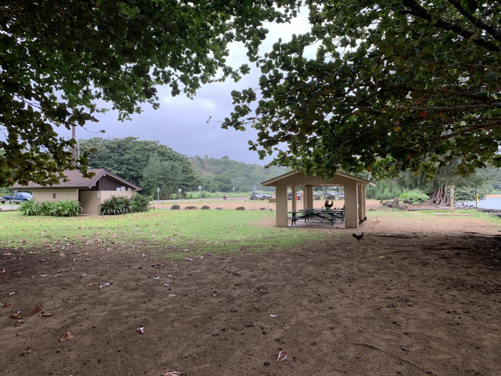 Anini_Beach_Park_Picnic_Area