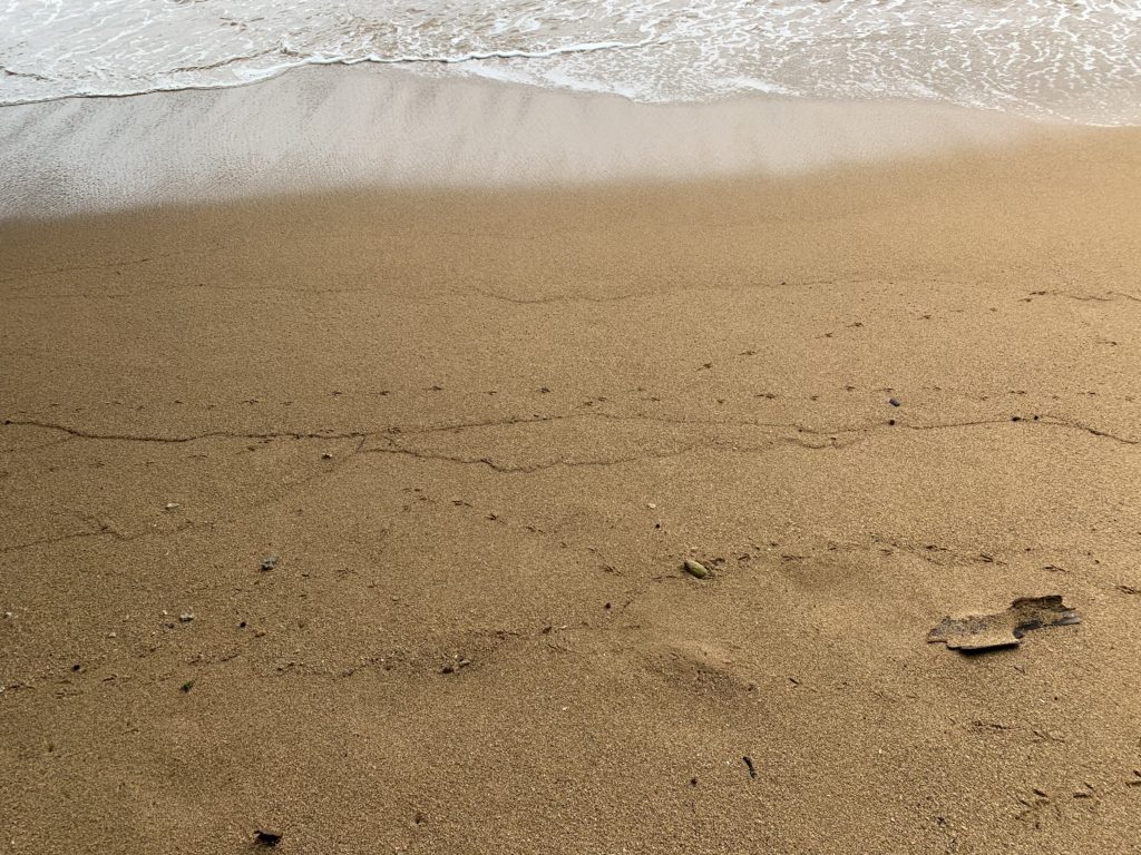 Anini_Beach_Park_Sand