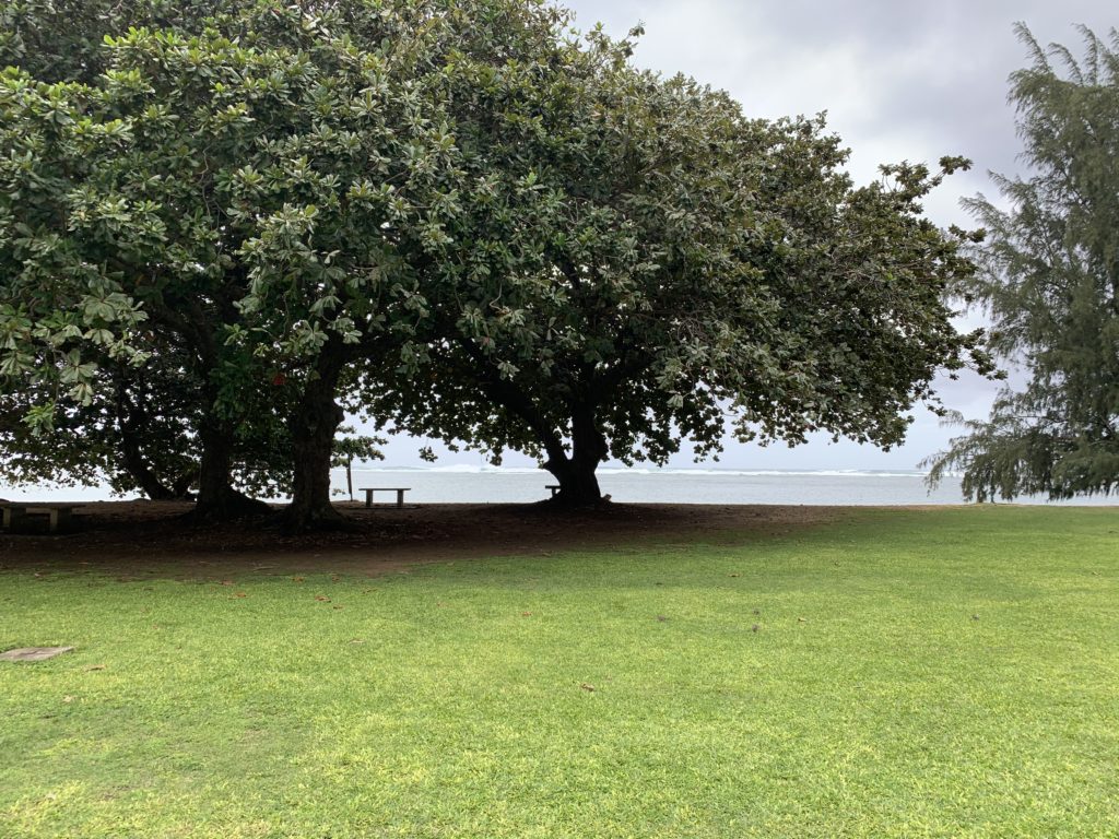 Anini_Beach_Park_View