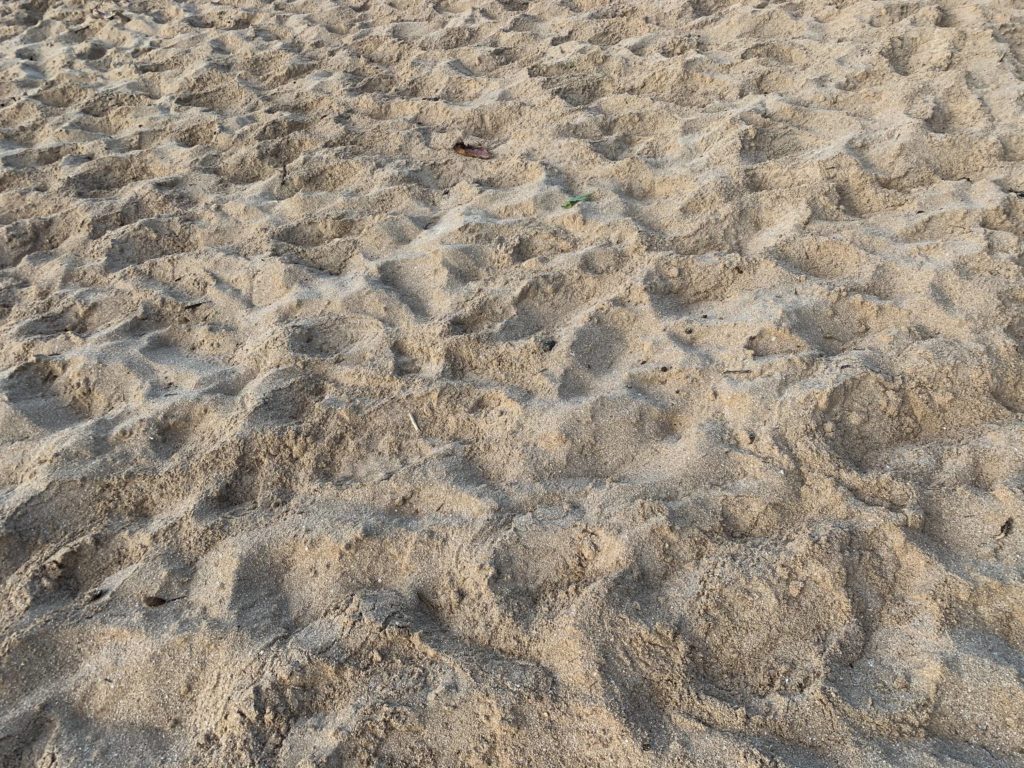 Banzai_Pipeline_Beach_Sand