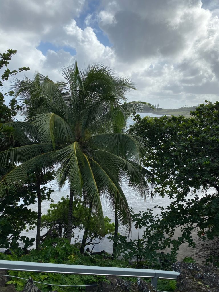 Hamoa Beach Ocean Backdrop