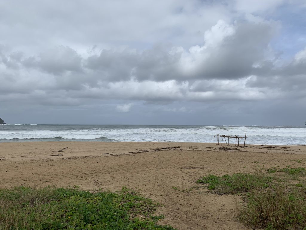 Hanalei_Bay_Ocean_View