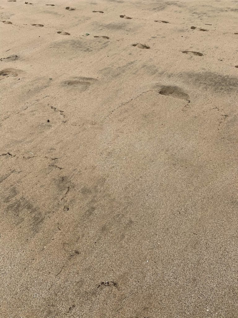 Hanalei_Bay_Sand
