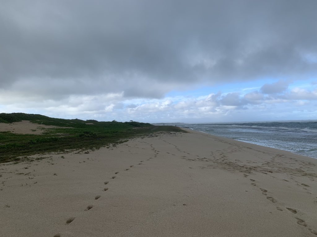 Kahuku_Beach_North_West_View