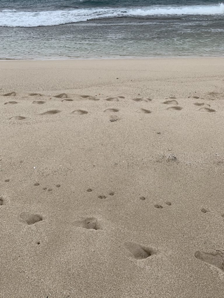 Kahuku_Beach_Sand_into_Ocean
