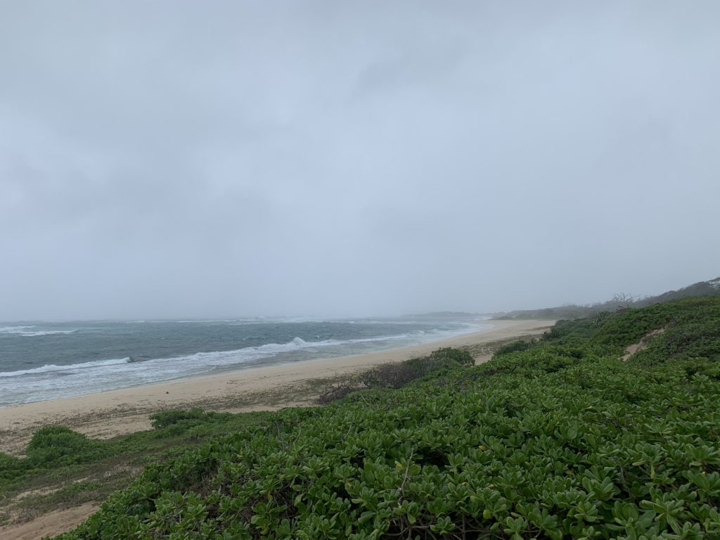 Kahuku_Beach_South_East_View