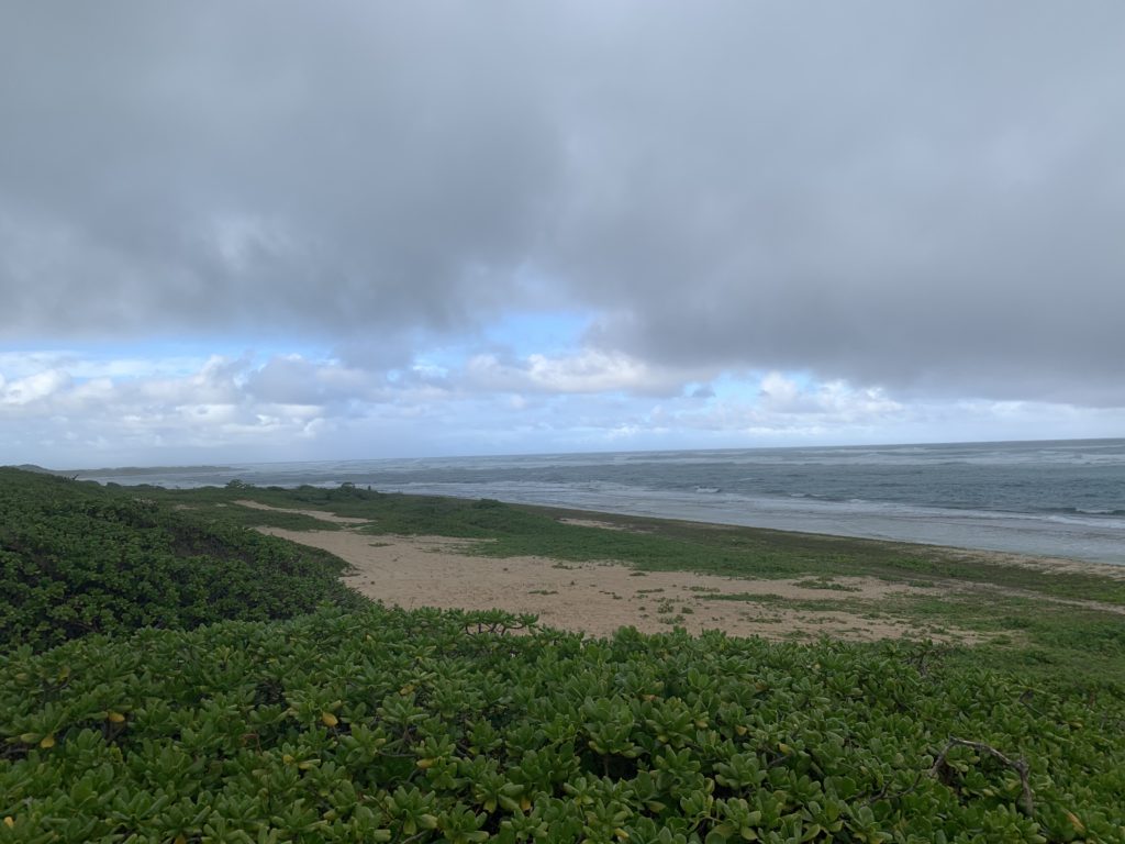 Kahuku_Beach_View