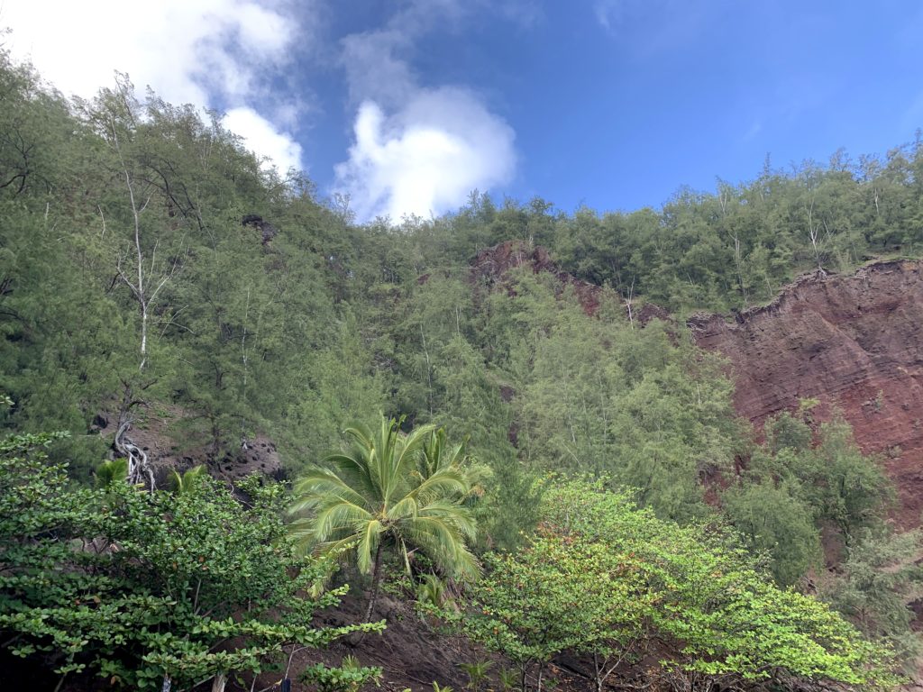 Kaihalulu Red Sand Beach Cliff Background