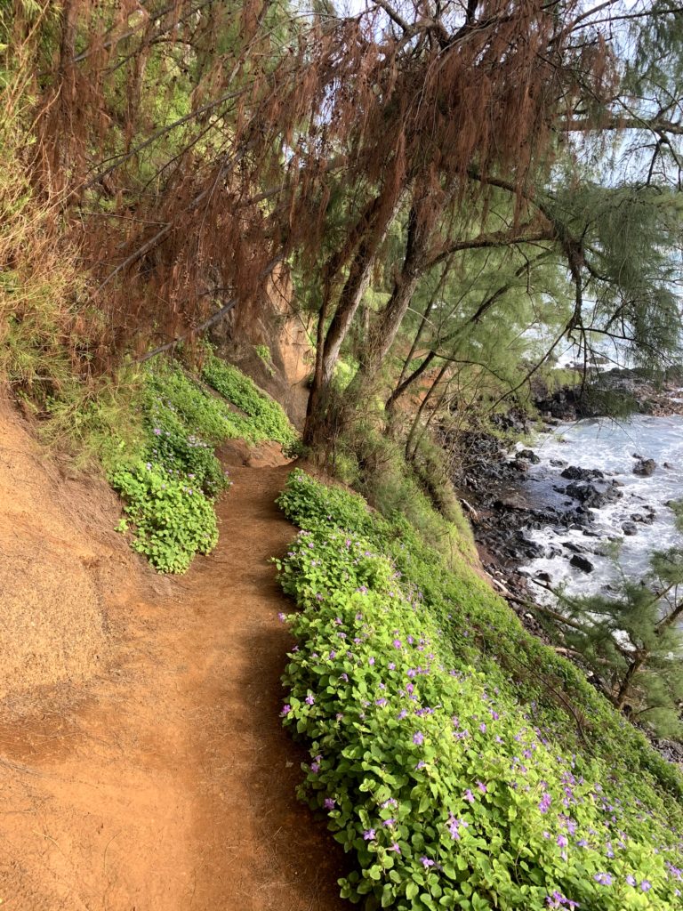 Kaihalulu Red Sand Beach Walkway