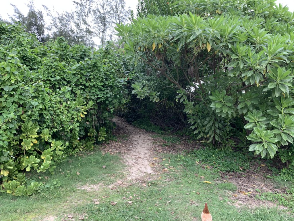 Kalama_Beach_Park_Path