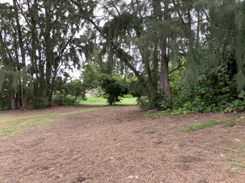 Kalama_Beach_Park_Path_to_Beach
