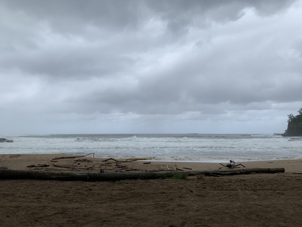 Kalihiwai_Beach