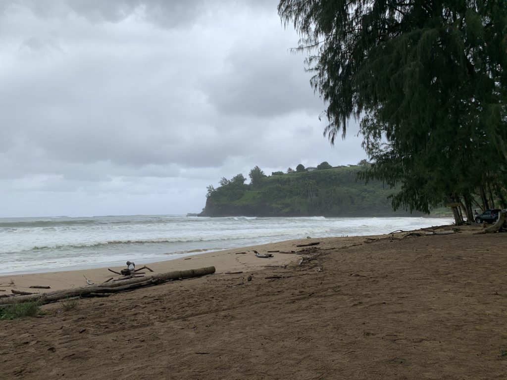 Kalihiwai_Beach_East_View