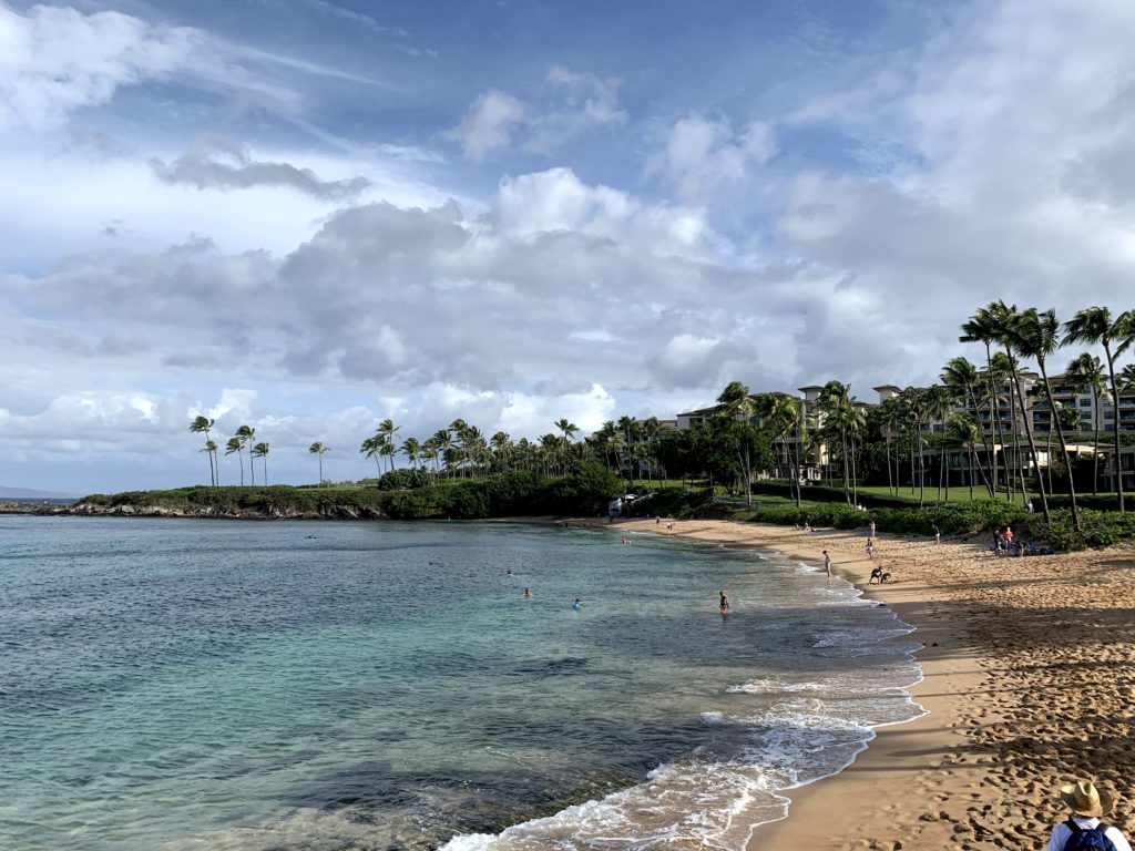 Kapalua Bay Beach North View