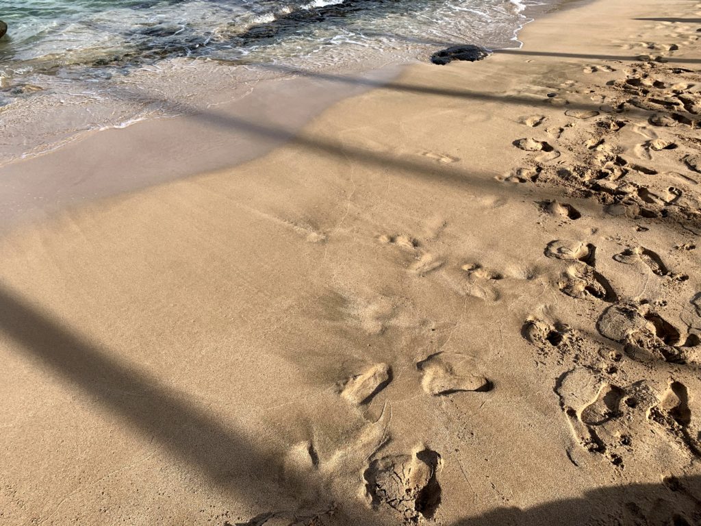 Kapalua Bay Beach Sand