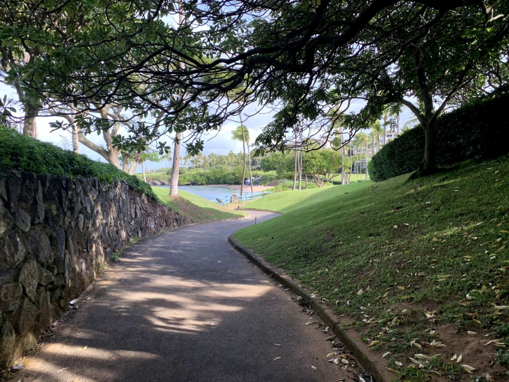 Kapalua Bay Beach Walkway