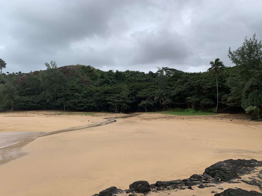 Kauapea_Beach_Beach_View