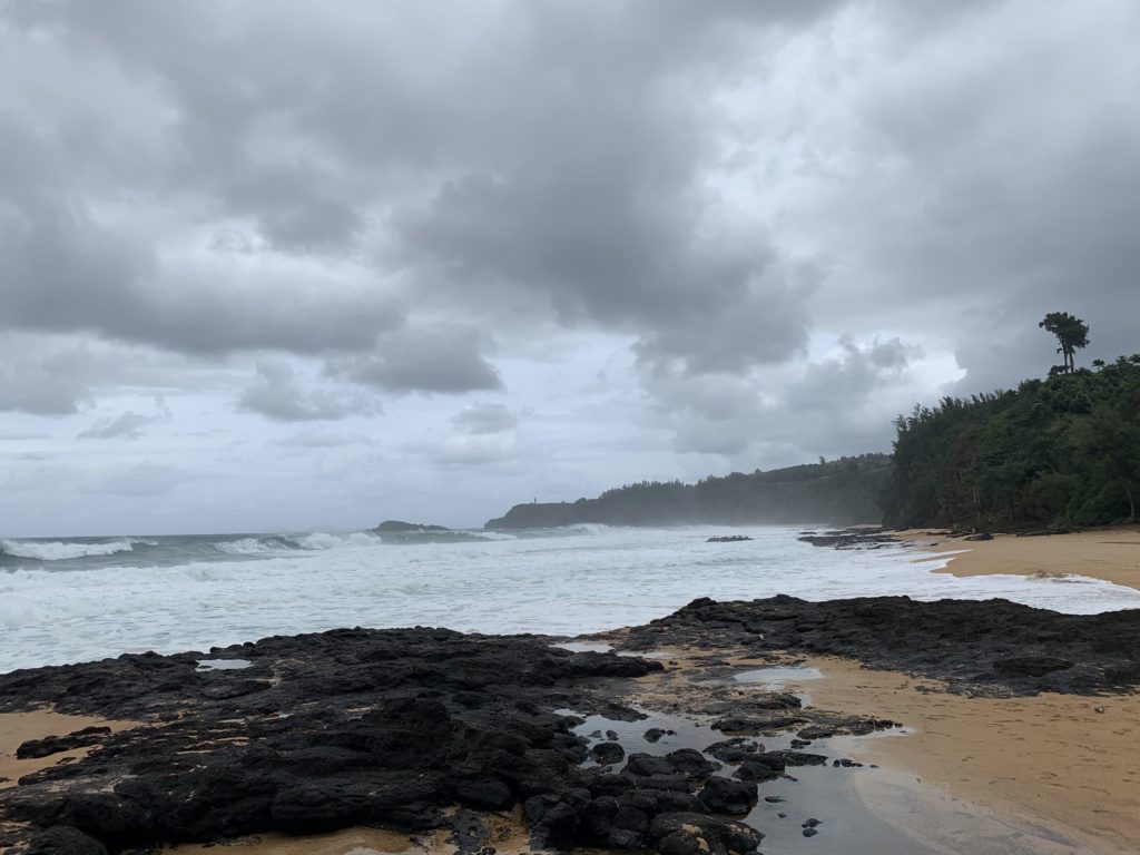 Kauapea_Beach_Ocean_Surf