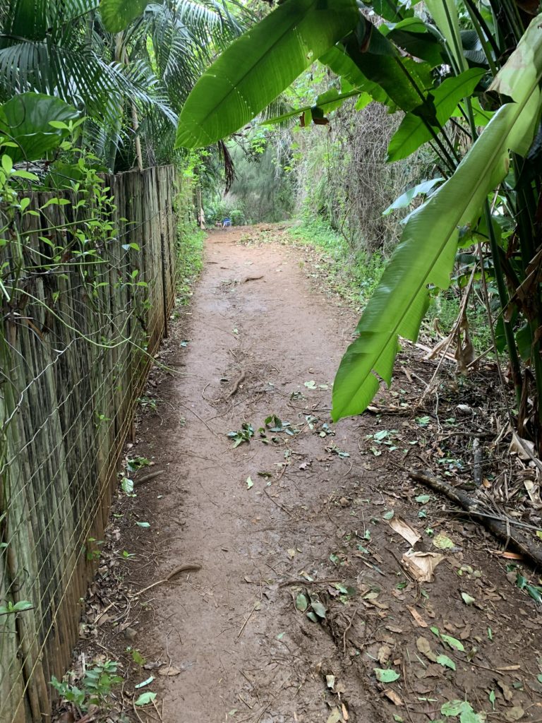 Kauapea_Beach_Path