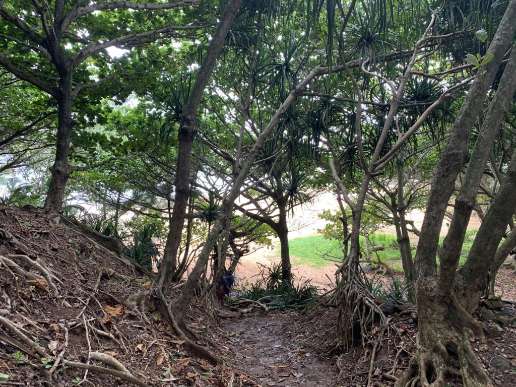 Kauapea_Beach_Peekabo_View