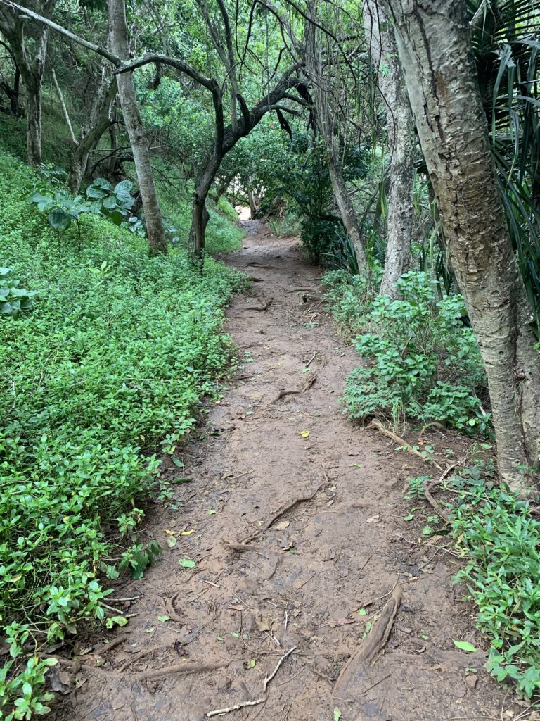 Kauapea_Beach_Steep_Path