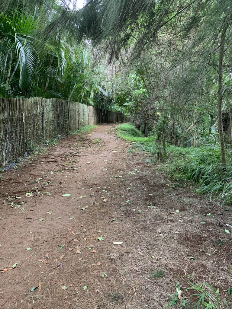 Kauapea_Beach_Trail