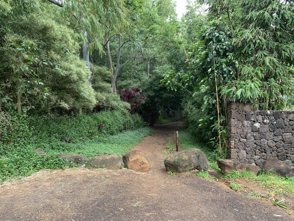 Kauapea_Beach_Trail_Entrance