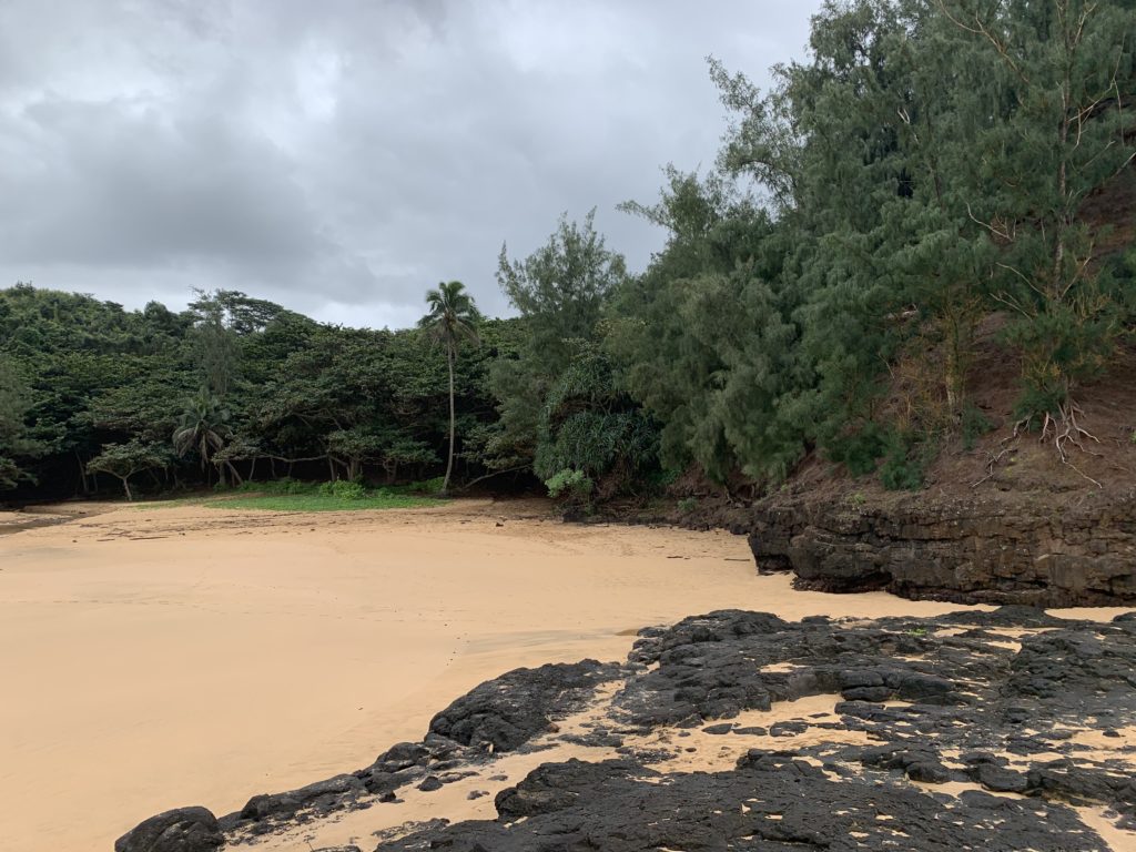 Kauapea_Beach_View_Back_to_Path