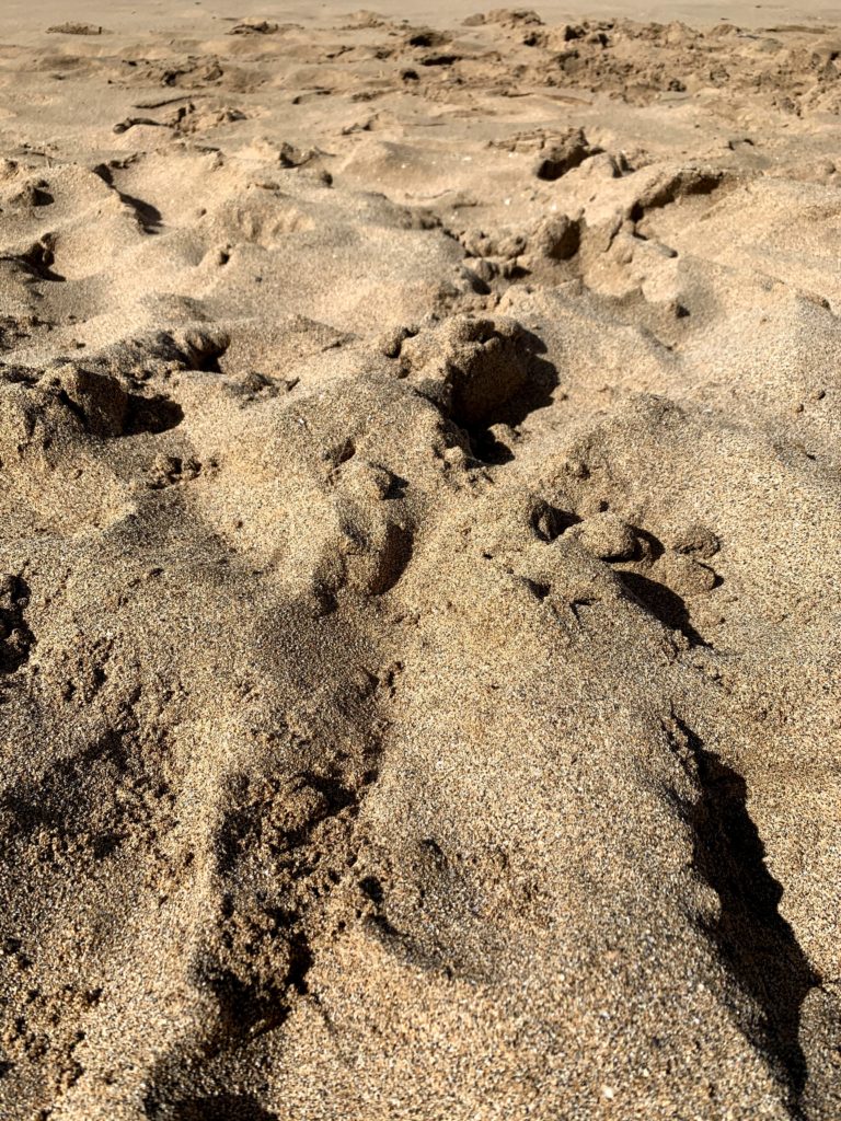 Ka’anapali Beach Sand
