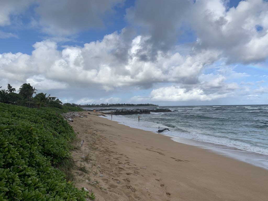 Lydgate_Beach_Park_North_View