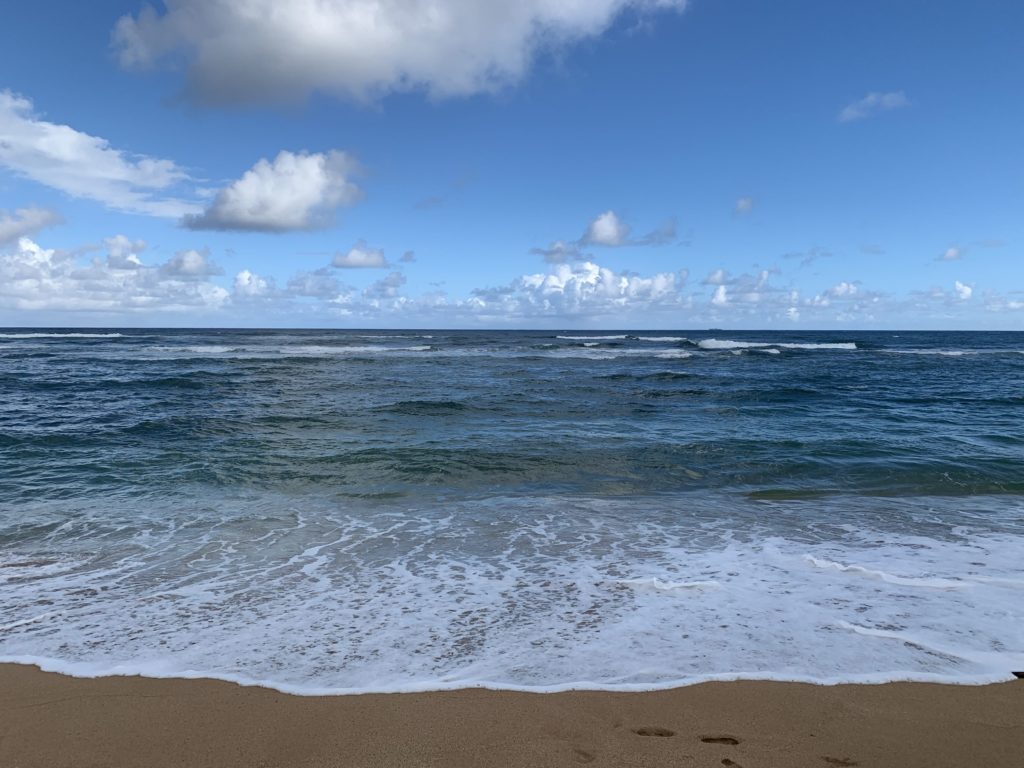 Lydgate_Beach_Park_Ocean