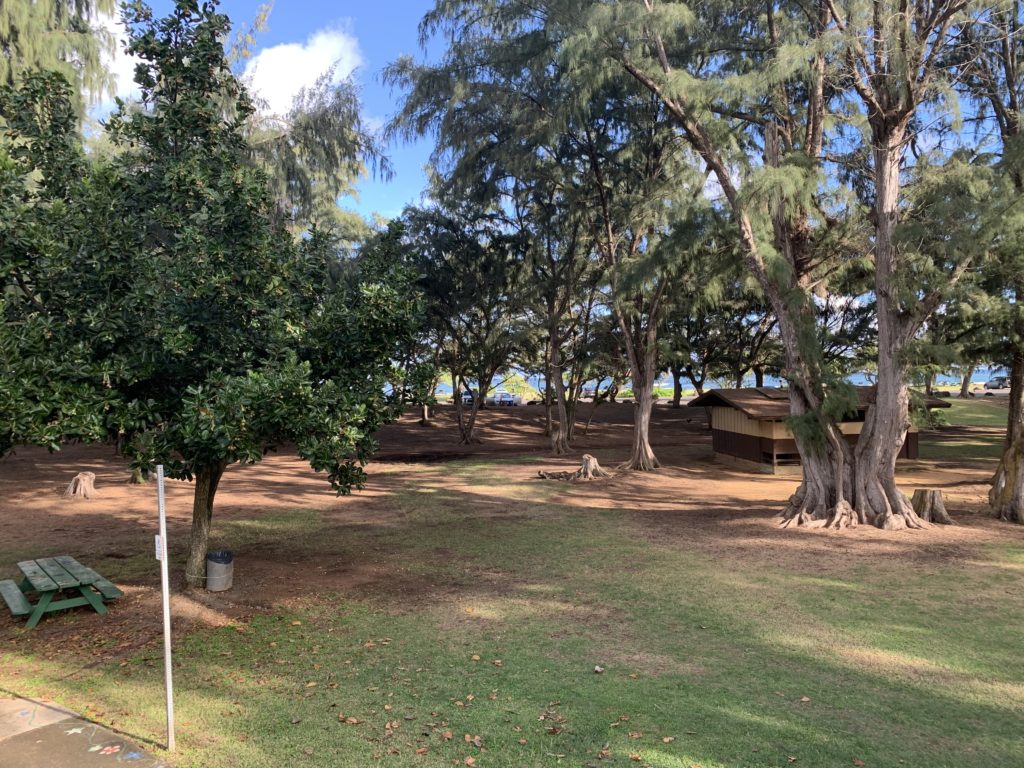 Lydgate_Beach_Park_Picnic_Area