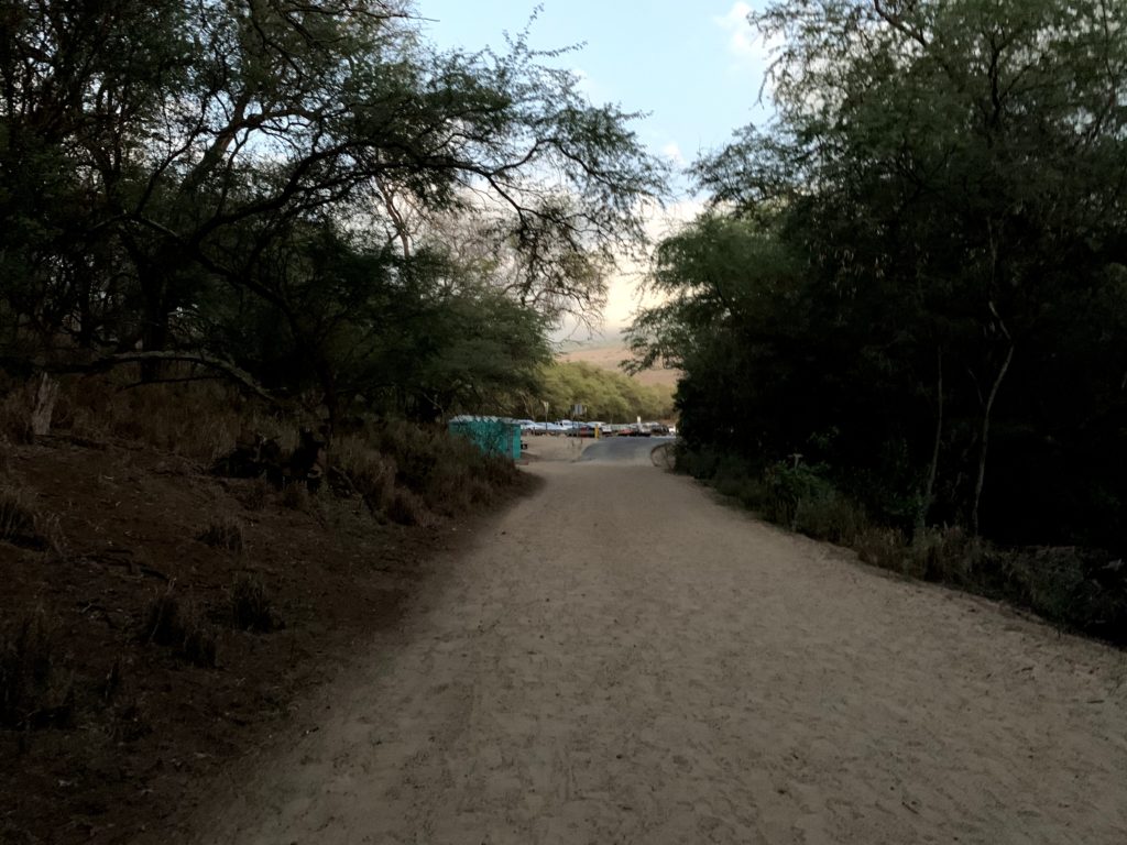 Makena State Park Parking Path