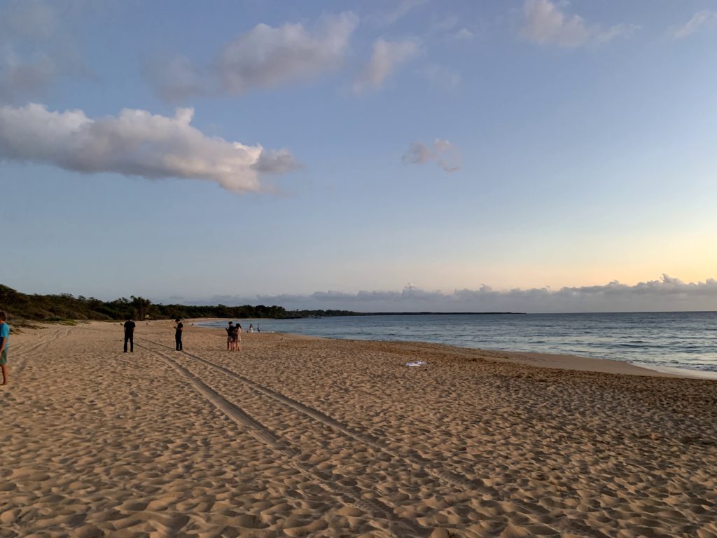 Makena State Park South View