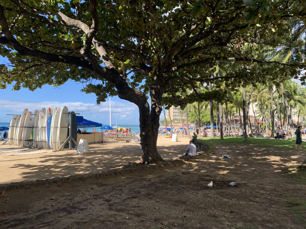 Waikiki_Beach_View