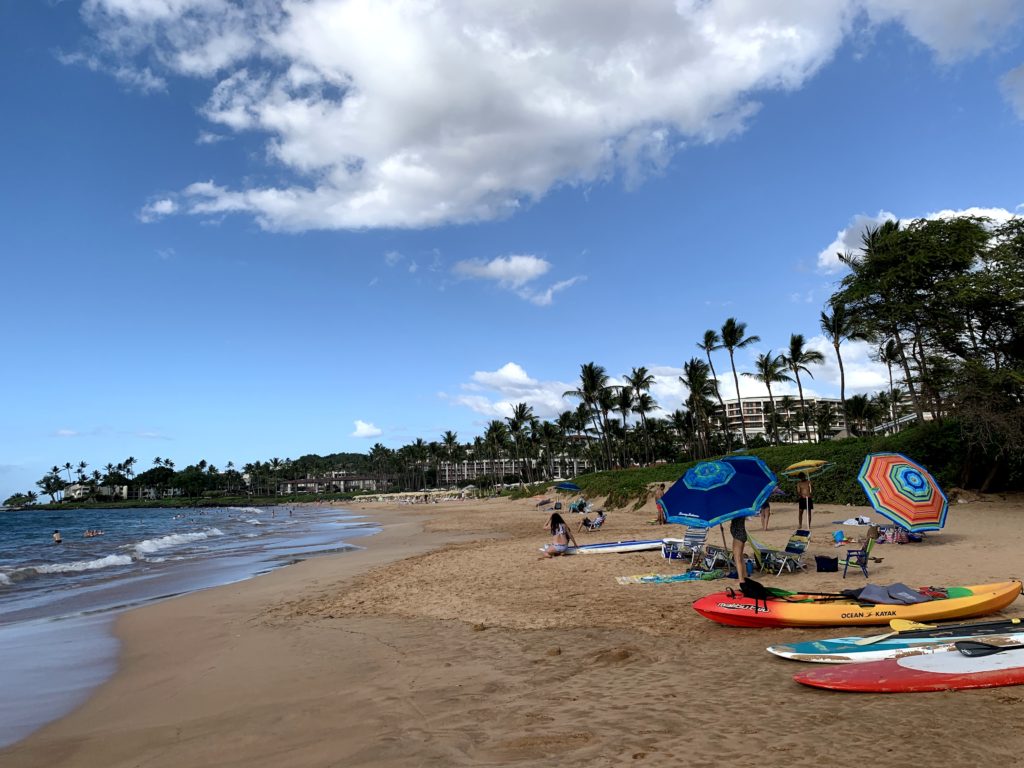 Wailea Beach North View