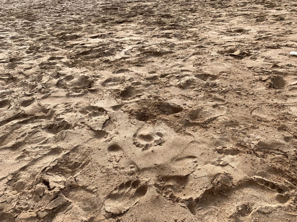 Wailea Beach Sand