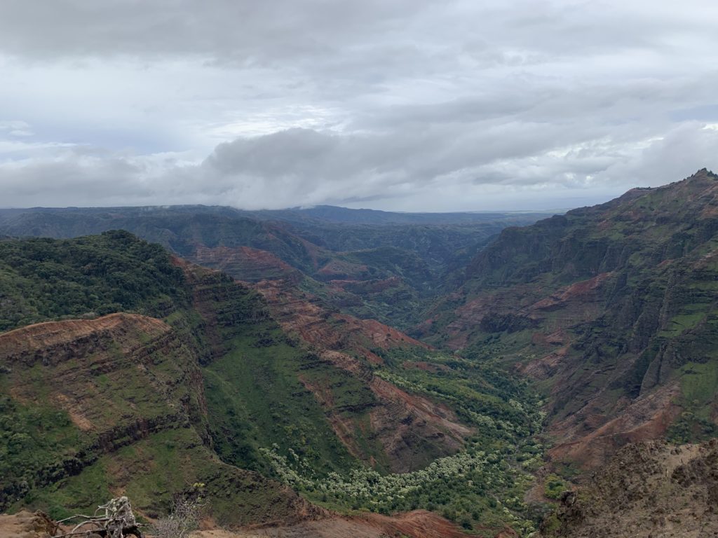 Waimea_Canyon_East_View