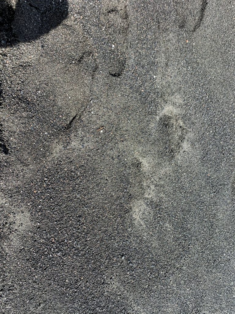 Wai’anapanapa State Park Black Sand Beach