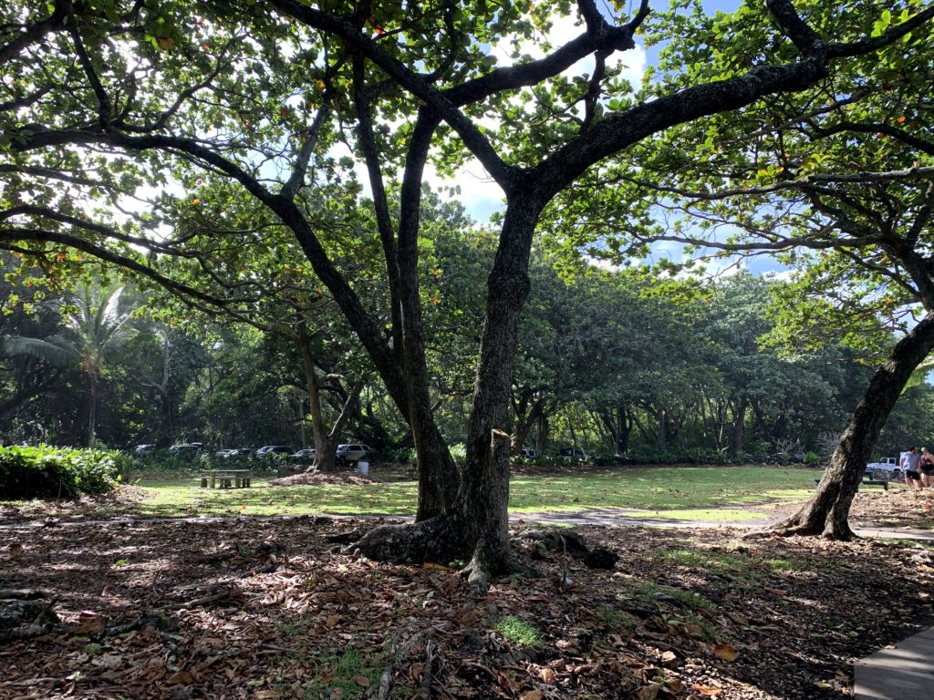 Wai’anapanapa State Park Picnic Area
