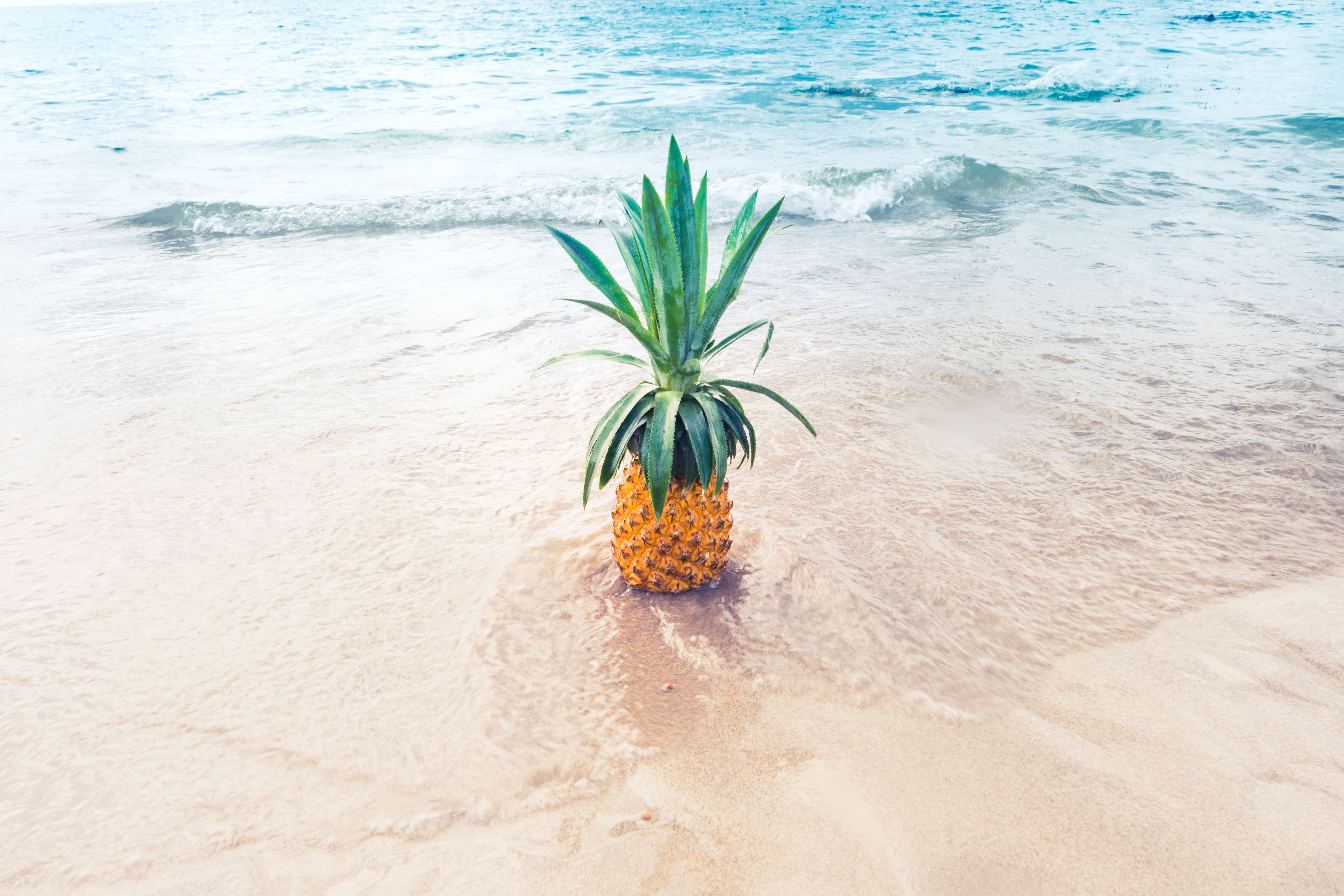 Mauna Kea Beach